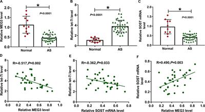 lncRNA MEG3 Suppresses the Progression of Ankylosis Spondylitis by Regulating the Let-7i/SOST Axis